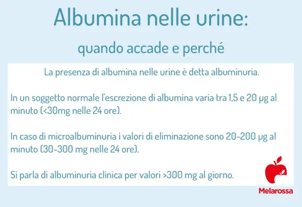 Microalbuminuria: valori normali e patologici. L'esame delle urine rileva la presenza di albumina, indicando albuminuria.