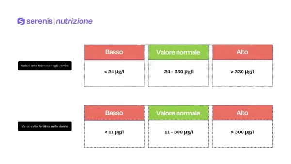 Tabelle valori ferritina uomini/donne: basso, normale, alto. Attenzione al ferro alto nel sangue!