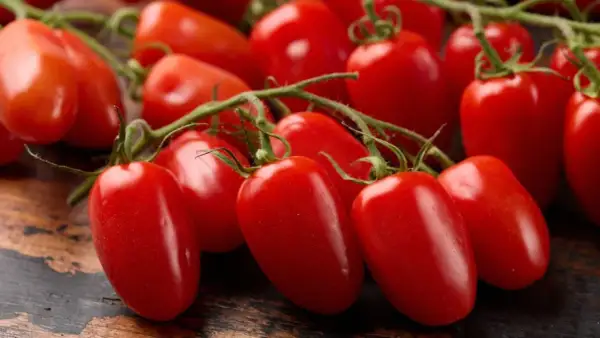 Pomodori freschi su un ramo. Attenzione, le patate contengono istamina, ma questi pomodori no!